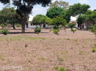 Kisarawe School Project » Updates 2021